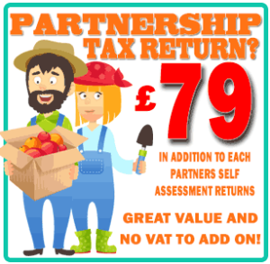 Partnership Tax Return